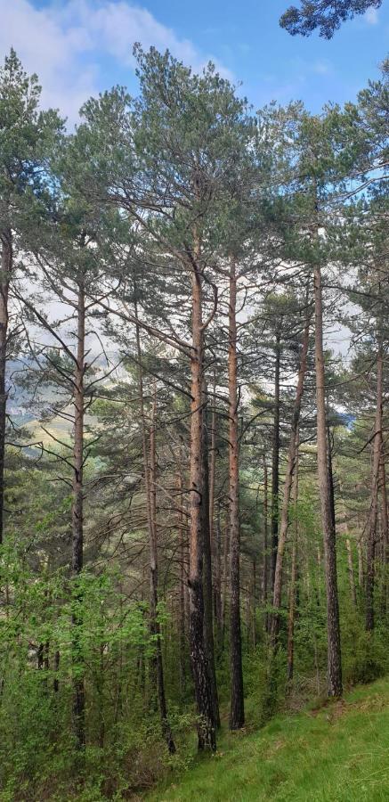 Casa Castel Turismo Rural Serrate Zewnętrze zdjęcie